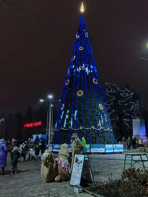 В экорайоне «Вересаево» в Ростове прошла новогодняя елка для жителей