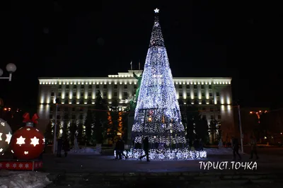 Как провести новогодние каникулы в Ростове-на-Дону