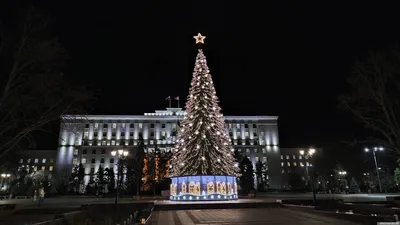 Новогодний Ростов: 5 крутых мест для прогулок и красивых фото - Я Покупаю