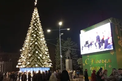 Новый год в Ростове 2024: программа, погода, ограничения - Лента новостей  Ростова-на-Дону