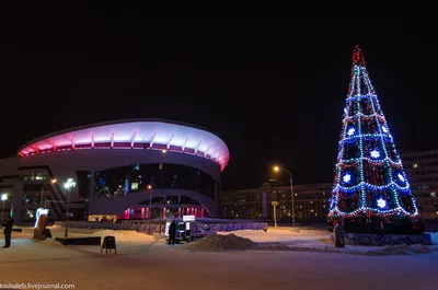 Ночной новогодний Саранск