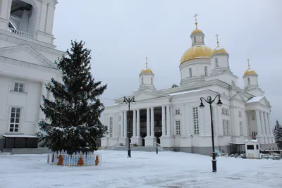 Дети участников СВО из Мордовии побывали на киноёлке в Москве | 27.12.2023  | Саранск - БезФормата