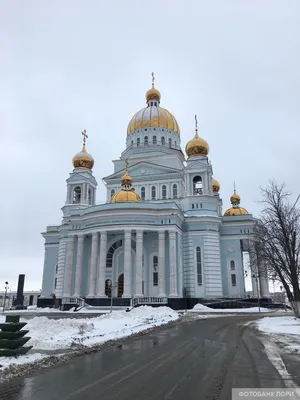 Саранск, Республика Мордовия, Сайт газеты Новости городского округа Саранск,  Главная ёлка Саранска