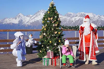 Новый год в Сочи -2024 с 29.12.23 -04.01.2024 - Reisen Tour