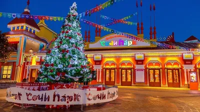 Новогодний Экспресс в Сочи 2020\" | Татьяна Тур