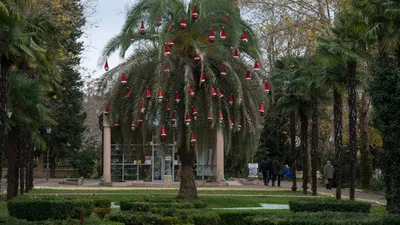 Новогодние мероприятия в районах Сочи 2017/18