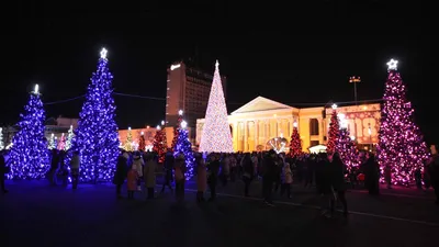 Новогодние огни зажглись на главной елке Ставрополья | 18.12.2020 |  Ставрополь - БезФормата