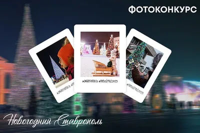 Победителей новогоднего фотоконкурса назвали в Ставрополе | Ставропольская  правда