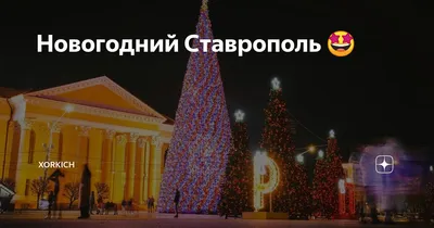 Главная елка в Ставрополе 2024–2025: где будет стоять, когда установят, чем  украсят и как добраться