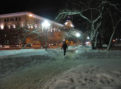 Новогодние елки Томска 2010 - Статьи - Томск - tomsk.ru09.ru