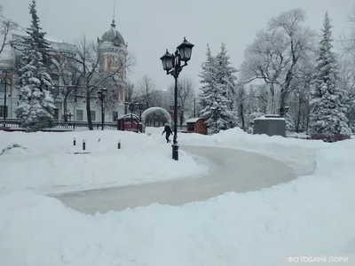 Новый год 2023 на хуторе «Своя ферма», праздничная программа — праздник в  Ульяновске