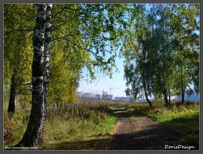 Что случилось с ильинским тоннелем (ФОТО) | 26.03.2019 | Новокузнецк -  БезФормата