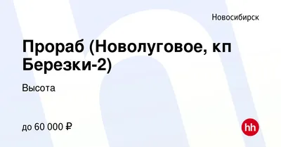 Коттеджный поселок «Березки-Новолуговое»: комфорт загородной жизни! -  СибПоселки - Новосибирск