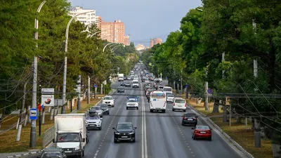 Москвич за МКАДом»: в Новороссийск за ветром борой, кефалью и лотосами -  Москвич Mag