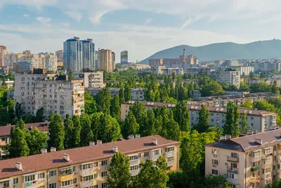 👉 Подборка квартир с предчистовой отделкой 📍 Новороссийск, Южный район 🔥  Действует ипотека с господдержкой, семейная ипотека 👍 Развитая… | Instagram