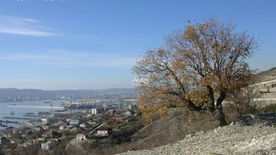 Пляжи Новороссийска для купания — фото, расположение на карте, отзывы  туристов