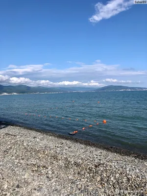 Новороссийск, шикарное море 🌊 | Я живу на море🌊 | Дзен