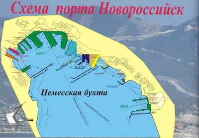 Новороссийский морской порт не слушает Путина и не любит рубли