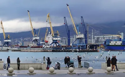 Счетная палата указала на недозагрузку российских морских портов — РБК