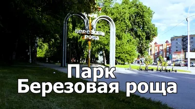 Продам свободного назначения помещение на проспекте Дзержинского 1/1 в  Дзержинском районе в городе Новосибирске 6100000 руб база Олан ру  объявление 105080328