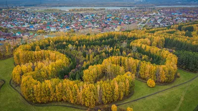 Парк у нового ЛДС в Новосибирске показали с высоты