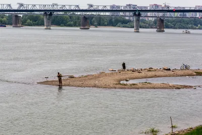 Река Обь, Новосибирск — Фото — Водный транспорт