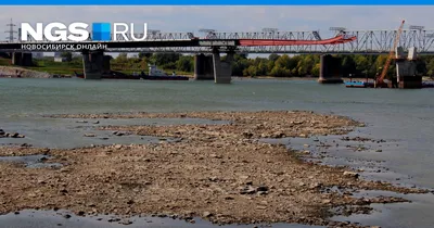 В Новосибирске обмелела Обь раньше срока, что произошло, 9 сентября, 2021  г. - 9 сентября 2021 - НГС