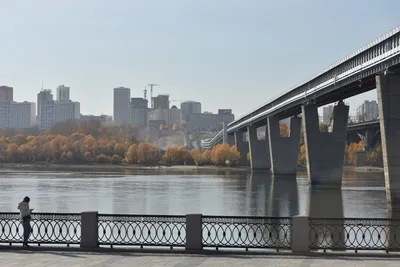 Вантовая система моста через Обь в Новосибирске смонтирована более чем  наполовину