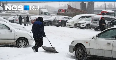 В Новосибирске открыли четыре новые школы — РБК