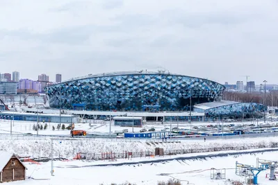 Новосибирский зоопарк, Новосибирск - «Посещение зимой. Стоит ли оно того?  Огромное количество животных, которых я раньше не видела. » | отзывы