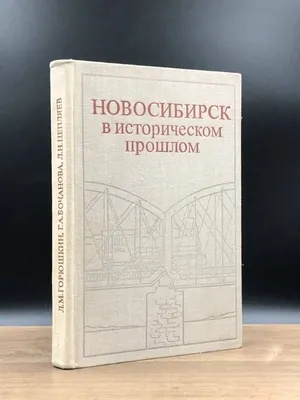 Новосибирск подготовят к Новому году на «красочном уровне» | Ведомости  законодательного собрания НСО