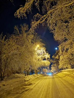 Красивые фотографии зимнего Новосибирска, Новосибирск зимой 17 ноября 2021  г. - 17 ноября 2021 - НГС