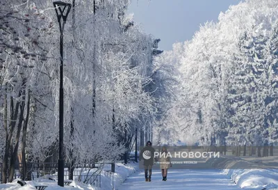 Новосибирск столица Нового Года