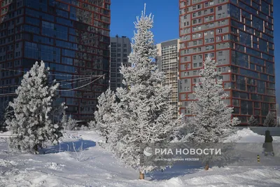 Фото зимнего Новосибирска. Зима 2016