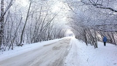 Новосибирск - сайт новостей - Зимний закат в Новосибирске Фото: Слава  Степанов | Facebook