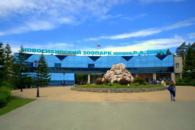 Новосибирский зоопарк фото фото