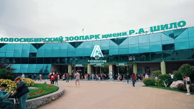 Новосибирский зоопарк / Novosibirsk Zoo - Наш любимый зоопарк с высоты  птичьего полета! ❤ Автор фото Слава Степанов. | Facebook