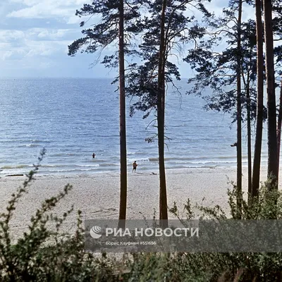 Новосибирское водохранилище. Отдых, туризм, рыбалка | Двигай на природу |  Дзен