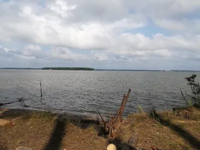 В Новосибирском водохранилище затонула парусная яхта с людьми на борту -  KP.RU