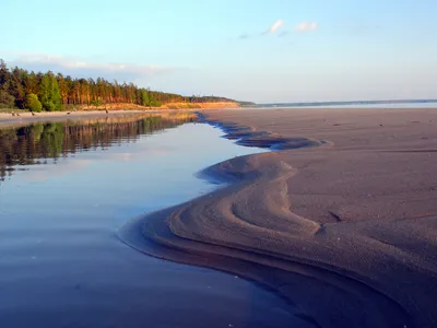 Водохранилище Новосибирское