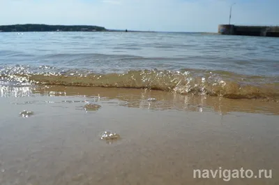 Новосибирское водохранилище: на карте, фото, описание, координаты  (городской округ Бердск, Новосибирская область, Россия)