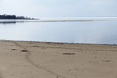 водохранилище «Обское море», регион: новосибирская область. Подбор:  проживания, услуг и другого