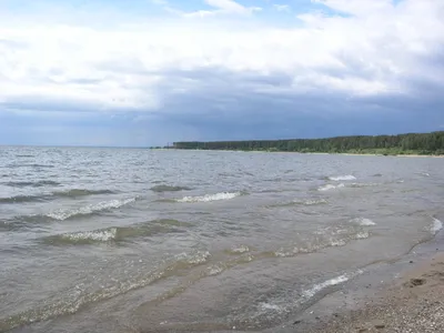 В Новосибирске нечистоты перестали стекать в Обское водохранилище |  ОБЩЕСТВО | АиФ Новосибирск