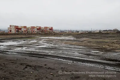 Ульяновская область Новоспасский район Новоспасское Собор Преображения  Господня Фотография