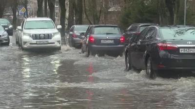 https://vesti-kaliningrad.ru/