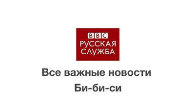 Супруги-блогеры Чекалины будут находиться под подпиской о невыезде - РИА  Новости, 07.03.2023