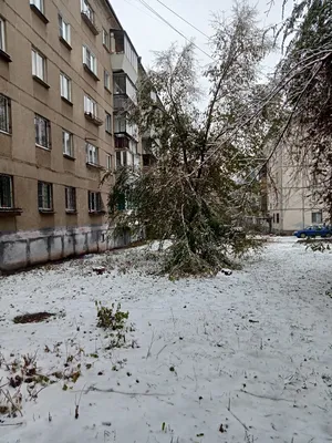 С днём рождения, любимый город! - Новости клуба - официальный сайт ХК  «Металлург» (Магнитогорск)