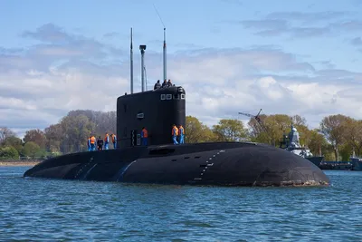 Оборванные провода и поваленные деревья: Магнитогорск перешел на  круглосуточную борьбу со снегом | Царьград. Урал | Дзен