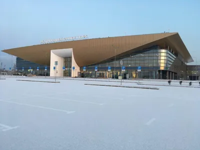 В аэропорту Перми обнаружили в багаже гранату | Новый компаньон | Дзен