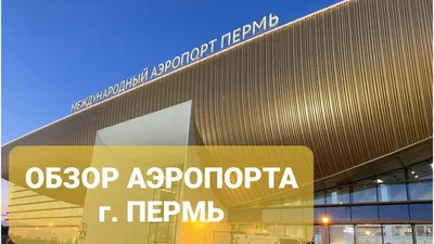 Звериный стиль: аэропорт Перми | Пермь в кофейной пенке | Дзен